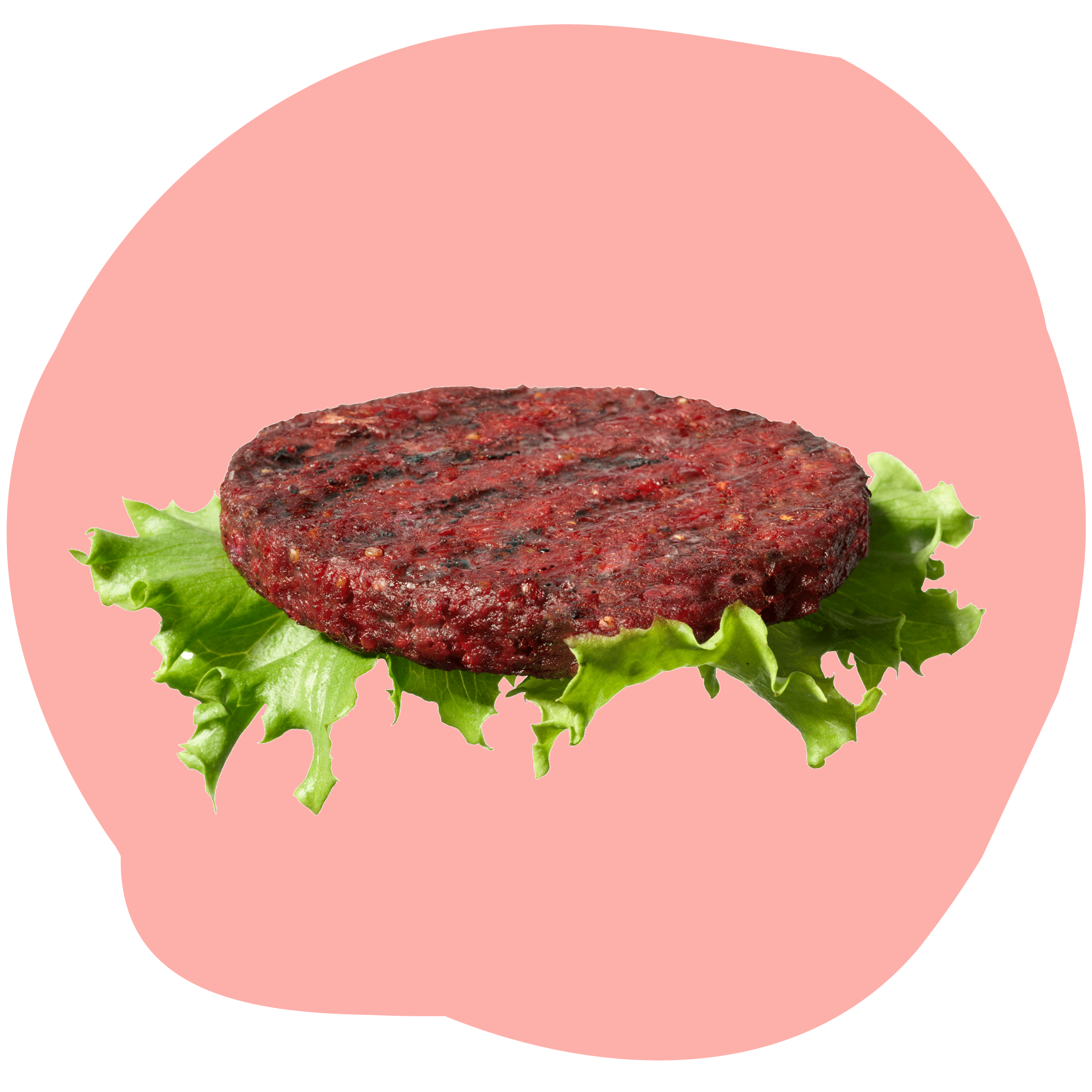 WEB blobbfoto_burger